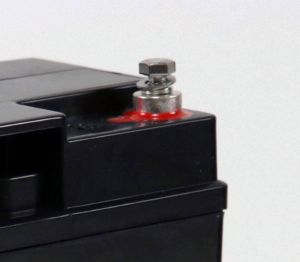 EcoLine – AGM 12 V – 20 Ah VRLA-Batterie – 181 x 77 x 167 – zyklenfeste Batterie