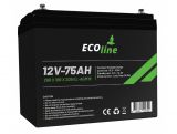 EcoLine – AGM 12 V 75 Ah – 75000 mAh VRLA-Batterie – 266 x 166 x 209 – Deep Cycle-Batterie
